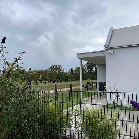 Wohnung Mit Garten Naehe Legoland Leipheim Exterior foto